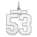 Sterling Silver/Rhodium-plated Polished Number 53 Charm