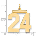 Sterling Silver/Gold-plated Polished Number 24 Charm