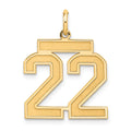 Sterling Silver/Gold-plated Satin Number 22 Charm