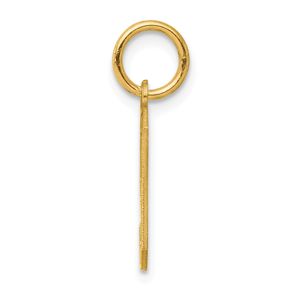 Sterling Silver/Gold-plated Satin Number 9 Charm