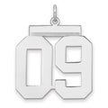 Sterling Silver/Rhodium-plated Polished Number 09 Charm