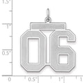 Sterling Silver/Rhodium-plated Satin Number 06 Charm