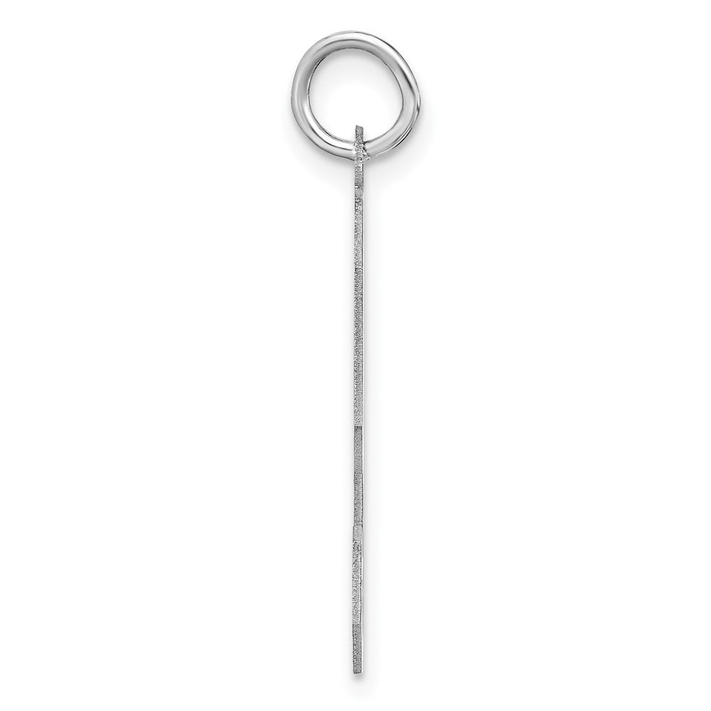 Sterling Silver/Rhodium-plated Satin Number 9 Charm