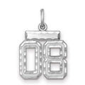 Sterling Silver Rhodium-plated Small Diamond-cut #08 Charm