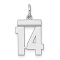 Sterling Silver/Rhodium-plated Polished Number 14 Charm