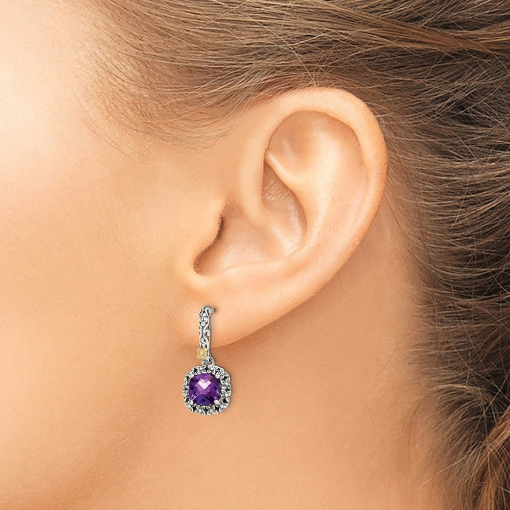 Sterling Silver Antiqued w/ 14k Polished Amethyst Earrings