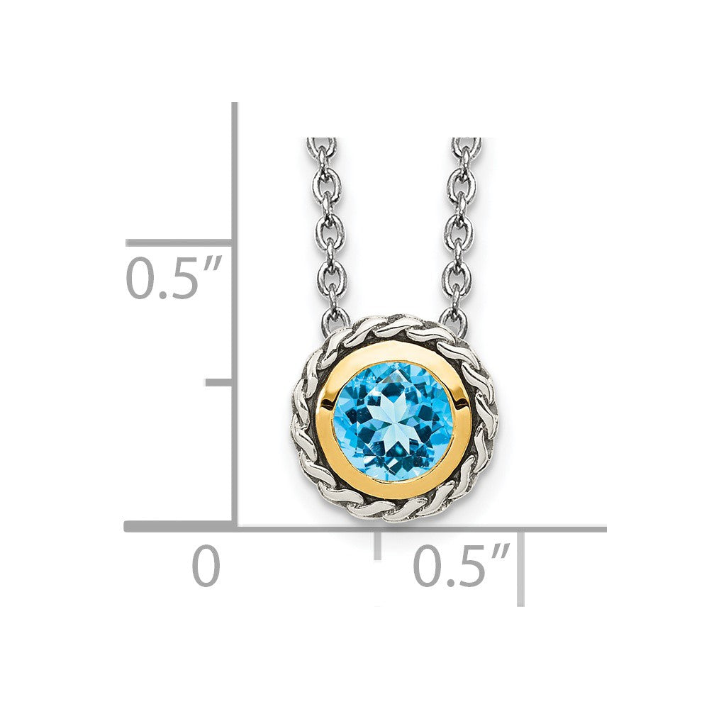 Sterling Silver w/14k Accent Antiqued Light Swiss Blue Topaz Slide