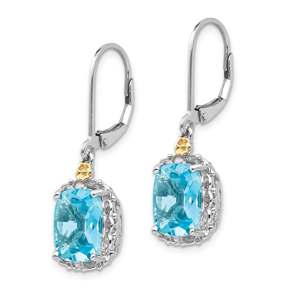 Sterling Silver Rhodium-plated w/14k Blue Topaz Earrings