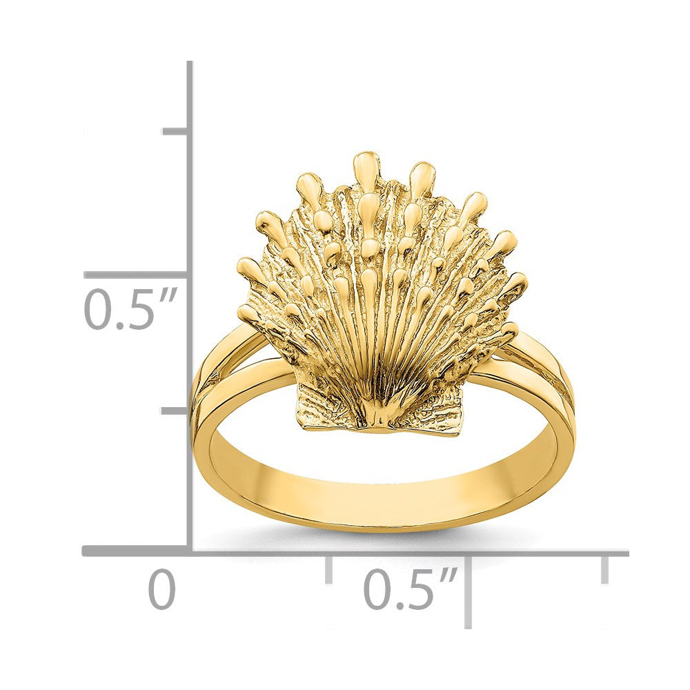 14K Lion's Paw Shell Ring