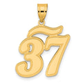 14k Brushed Border Script Number 37 Pendant
