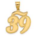 14k Brushed Border Script Number 39 Pendant