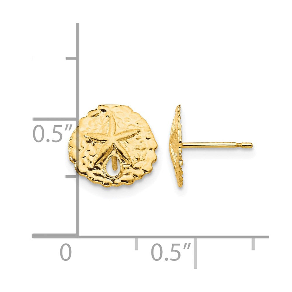 14k Madi K Sand Dollar Post Earrings