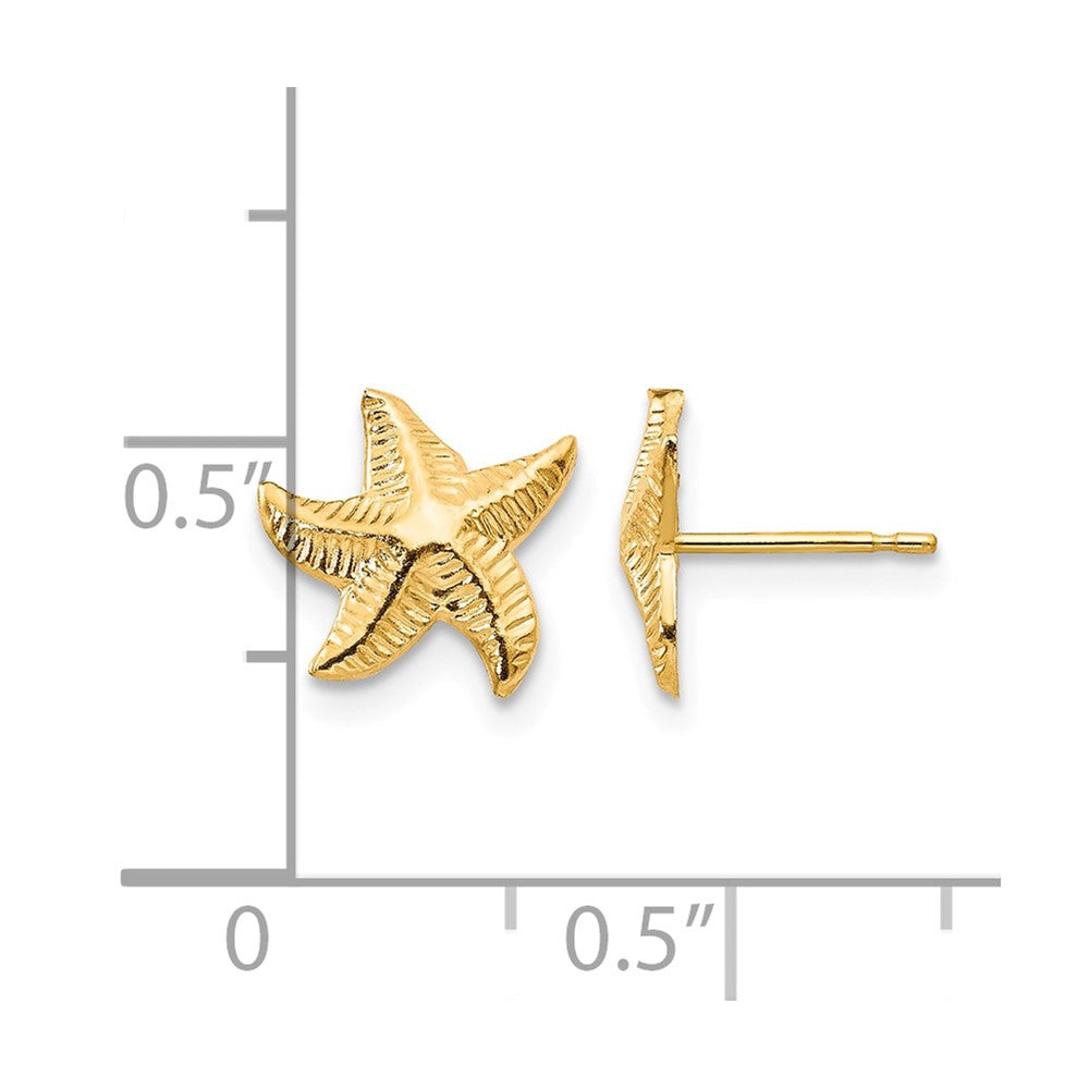 14k Madi K Starfish Post Earrings