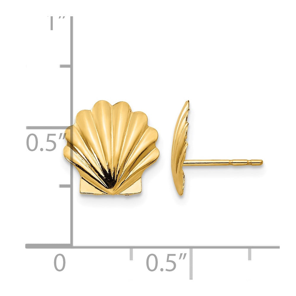 14k Madi K Shell Post Earrings