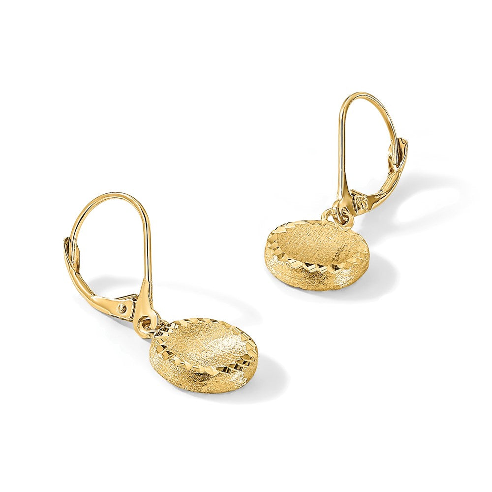 14k Brushed and Polished Diamond-cut Circle Leverback Earrings