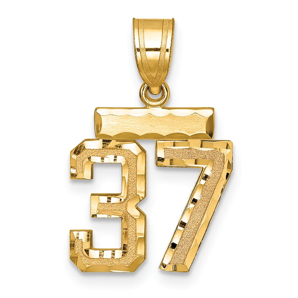 14k Small Brushed Diamond-cut Number 37 Charm
