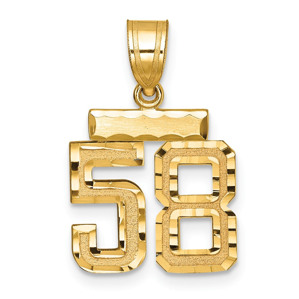 14k Small Brushed Diamond-cut Number 58 Charm