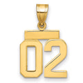10k Small Polished Number 02 Charm