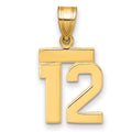 10k Small Polished Number 12 Charm
