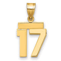 10k Small Polished Number 17 Charm