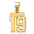 10k Small Polished Number 19 Charm