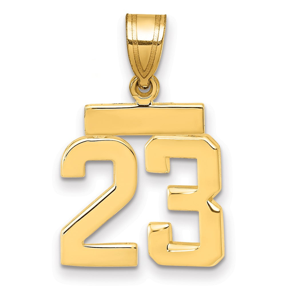 10k Small Polished Number 23 Charm