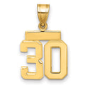 14k Small Polished Number 30 Charm