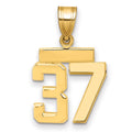 10k Small Polished Number 37 Charm