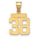 10k Small Polished Number 38 Charm