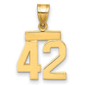 10k Small Polished Number 42 Charm