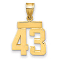 10k Small Polished Number 43 Charm