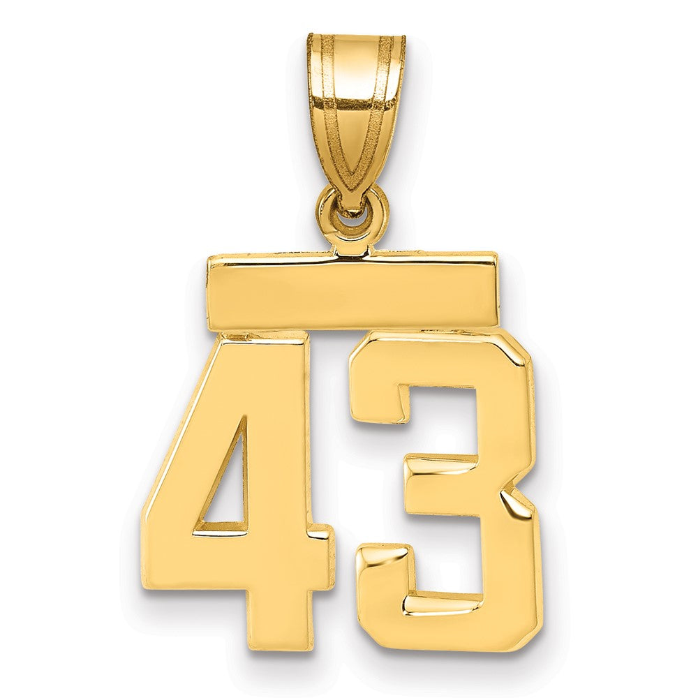 10k Small Polished Number 43 Charm