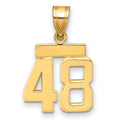 14k Small Polished Number 48 Charm