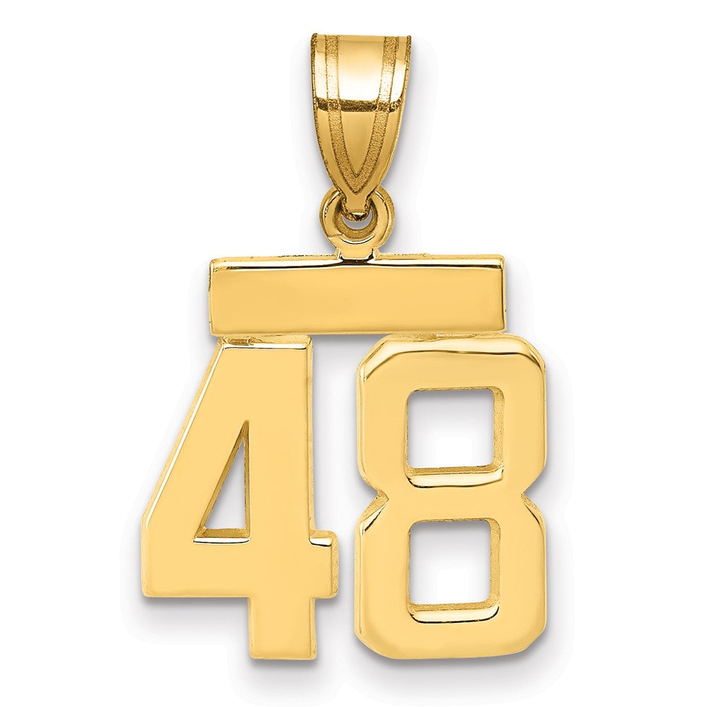 10k Small Polished Number 48 Charm