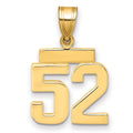 14k Small Polished Number 52 Charm