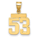 10k Small Polished Number 53 Charm