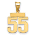 14k Small Polished Number 55 Charm