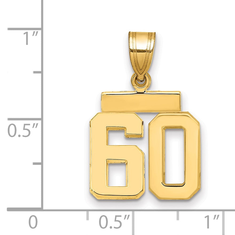 10k Small Polished Number 60 Charm