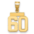 10k Small Polished Number 60 Charm
