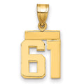 14k Small Polished Number 61 Charm