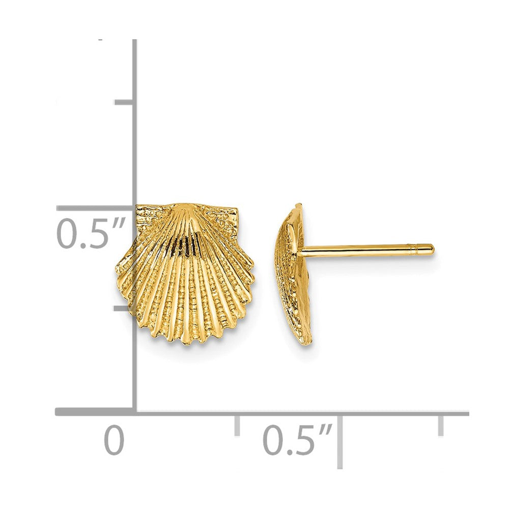 14k Scallop Shell Post Earrings