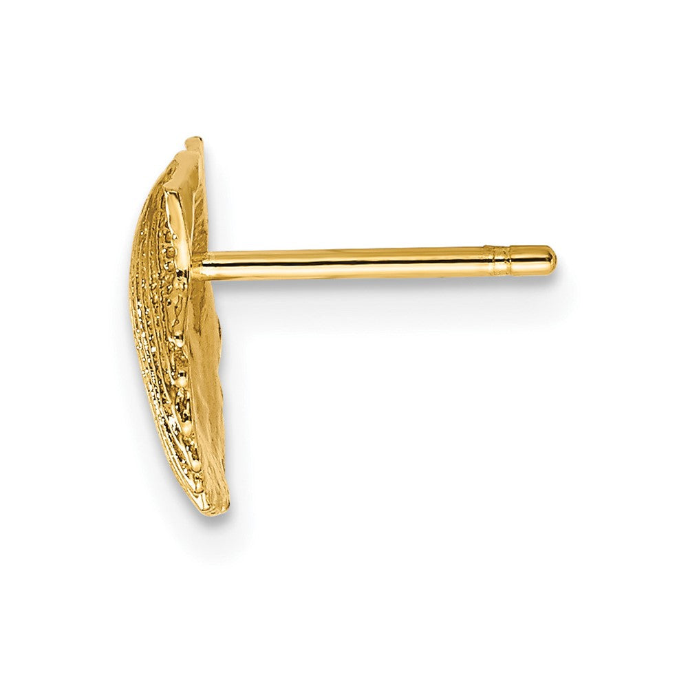 Single 14k Scallop Shell Post Earring