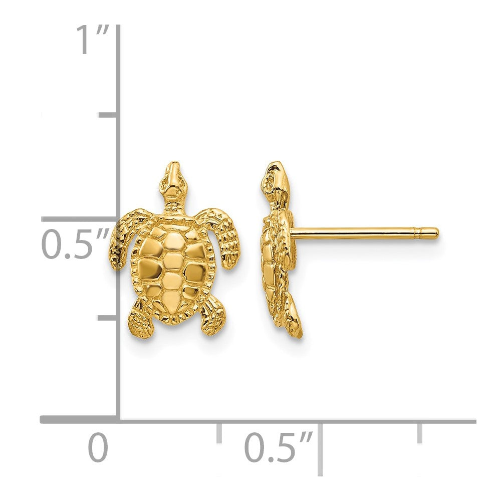 14k Sea Turtle Post Earrings