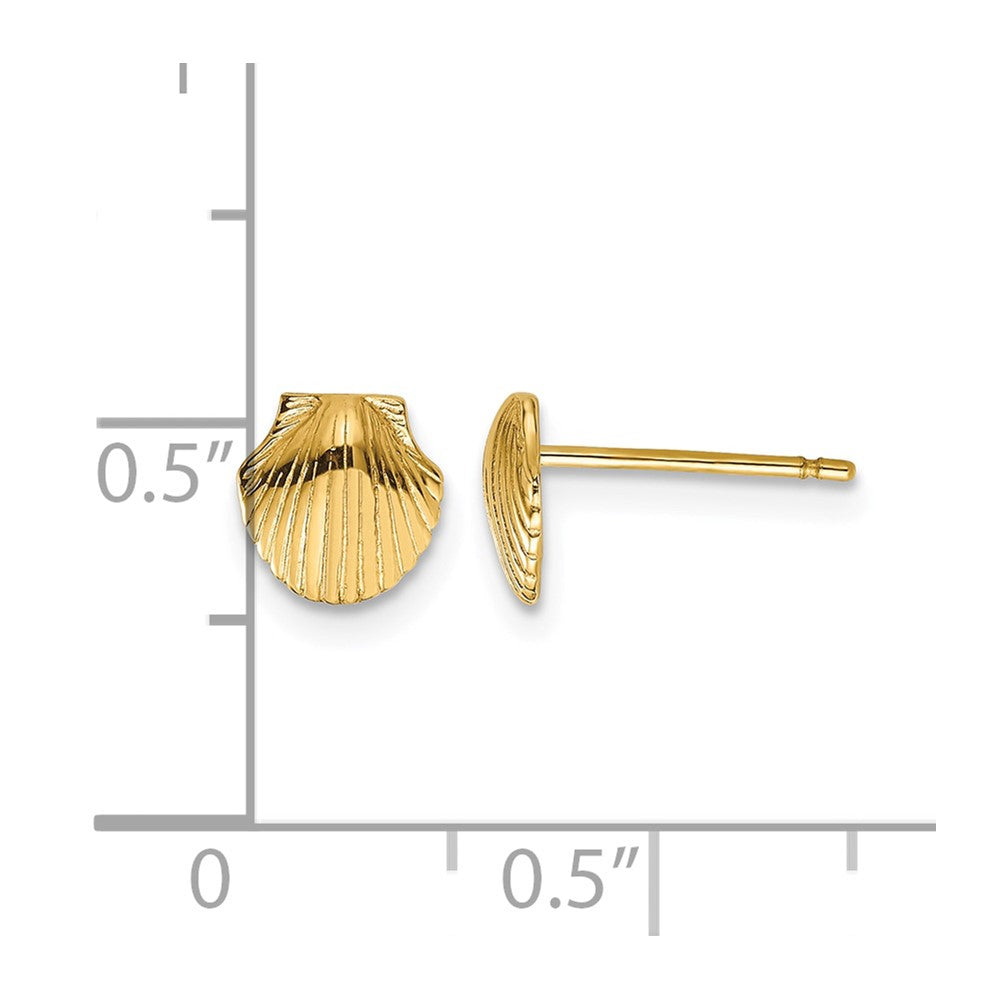 14k Mini Scallop Shell Post Earrings