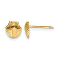 14k Mini Scallop Shell Post Earrings