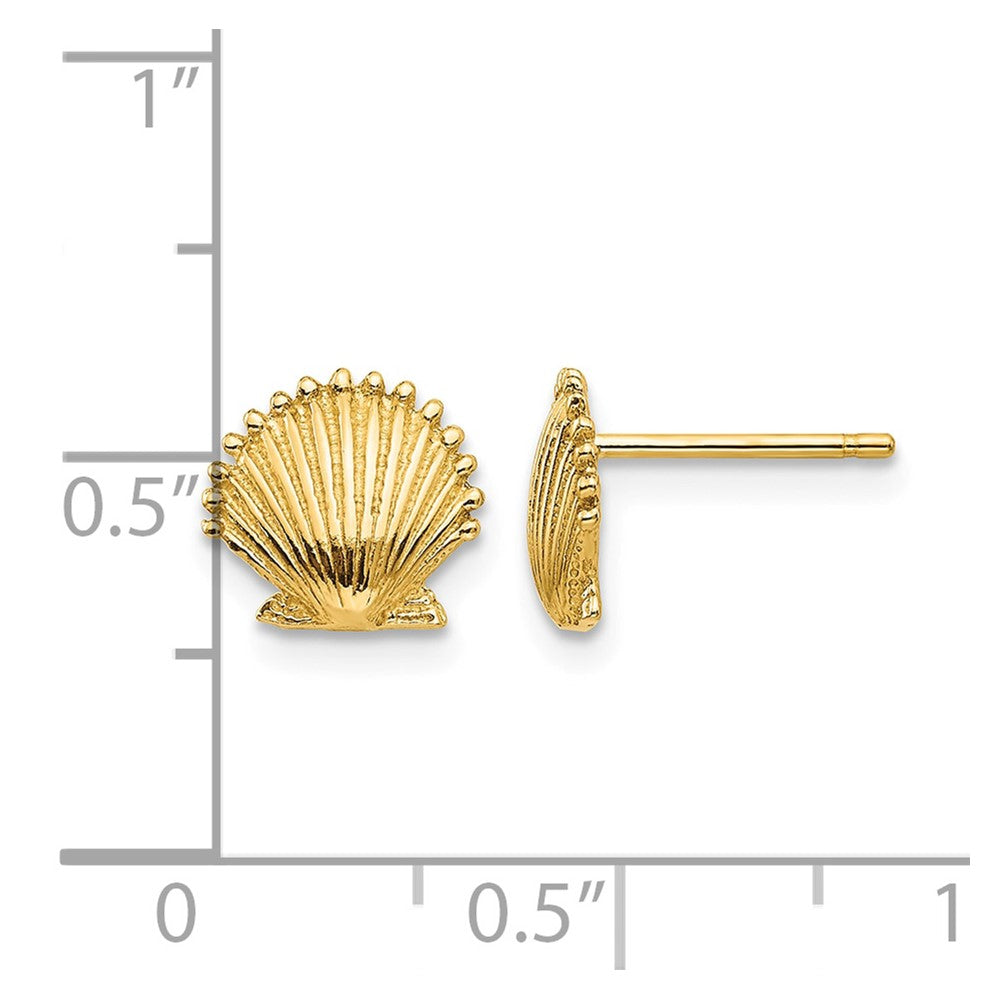 14k Scallop Shell Post Earrings