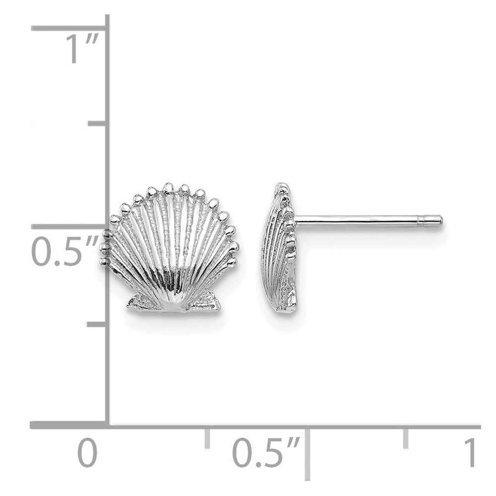 14K White Gold Scallop Shell Post Earrings