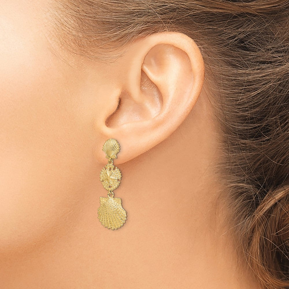 14K Scallop, Sand Dollar,,Scallop Dangle Earrings
