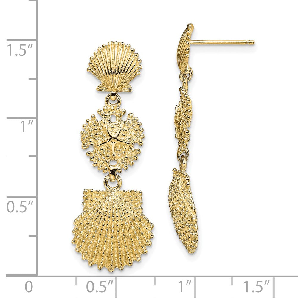 14K Scallop, Sand Dollar,,Scallop Dangle Earrings