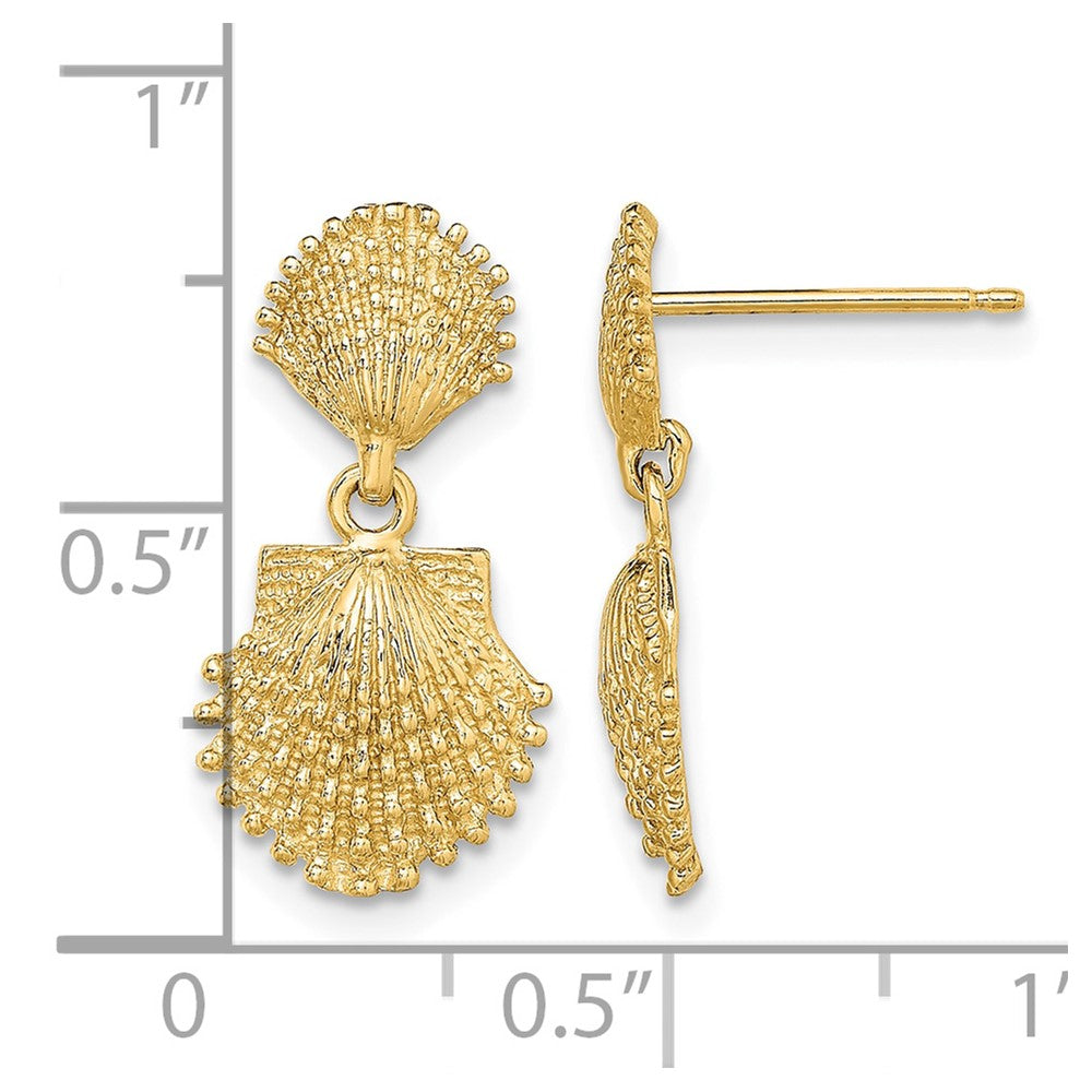 14K Double Beaded Scallop Shell Dangle Earrings